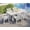 White, variant on Jocisland 7-Piece HDPE Outdoor Dining Table Set with 6 Chairs, 71" L Patio Furniture Set, White
