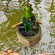 thumbnail image 5 of Adorno de resina CUTICAT Rana flotante para estanque y piscina, 5 of 8
