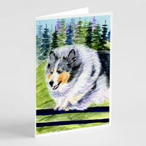 Sheltie Greeting Cards and Envelopes Pack of 8