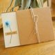 thumbnail image 1 of Paquete de 3 tarjetas de girasol Forget-me-not, tarjeta de felicitación de vacaciones, papel kraft, flor seca, invitaciones de boda, tarjeta de cumpleaños de bendición, 1 of 4