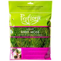 SHEET MOSS - True Green - 2oz Bag