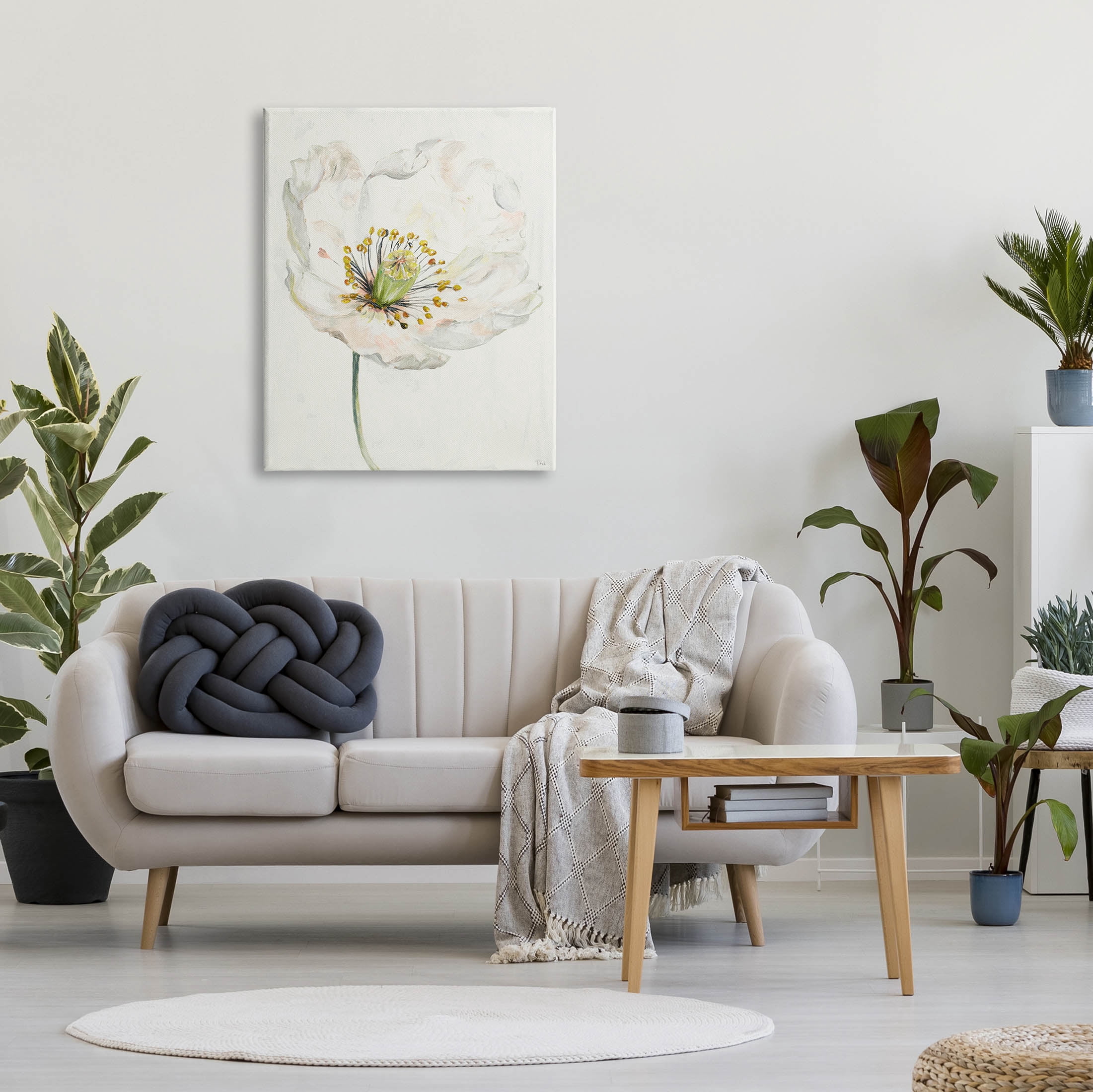 Stupell Industries Delicate Beauty White Flower Graphic Art Gallery Wrapped Canvas Print Wall Art, Design by Patricia Pinto