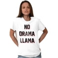 thumbnail image 5 of No Drama Llama Alpaca Chill Relaxed Men's Graphic T Shirt Tees Brisco Brands X, 5 of 6