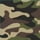 Mossy Oak
