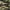 Khaki/Camo, variant on Venum Elite Boxing and MMA Protective Headgear - Gray/Gray