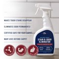 thumbnail image 4 of Enzymatic Cleaner for Pet Urine Stain and Odor Eliminator - 32 fl oz, 4 of 6