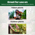 thumbnail image 2 of Biogrowth Organics Thrive Plant Food & Vitamin Supplement (8.45oz), Enzyme-Powered Root & Bud Booster with Humic Acid & B-Vitamins, Suitable for Hydroponics, Indoor & Outdoor Plants, 2 of 9