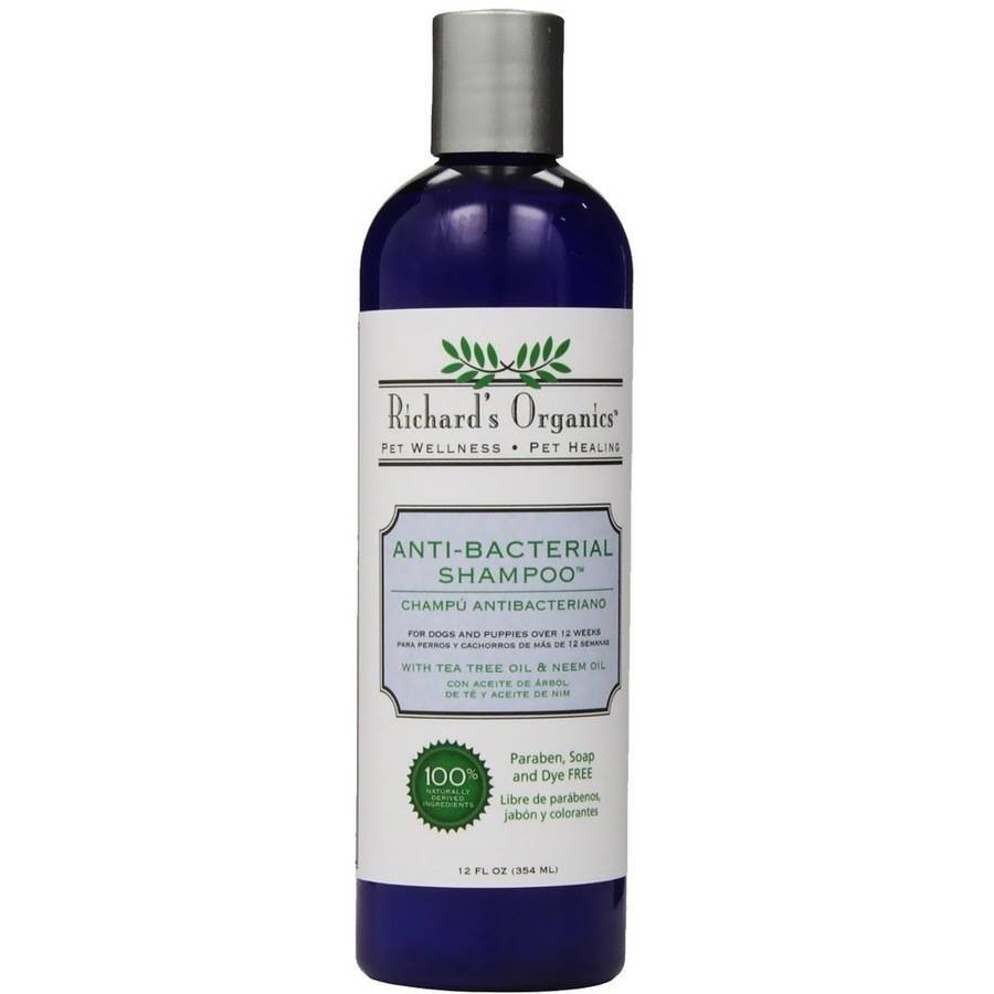 Richard's organics antibacterial shampoo, 12oz bottle
