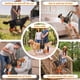 thumbnail image 4 of Arnés de Elevación para Perro Grande con Soporte de Pata Trasera S-ETOVUS, 4 of 7