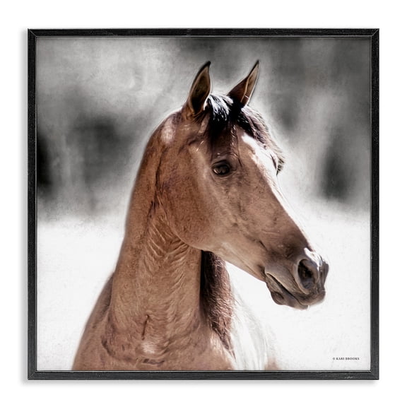 Stupell Industries Rustic Lodge Brown Foal in Snow Black Framed Giclee Art, 12 x 12, by Kari Brooks