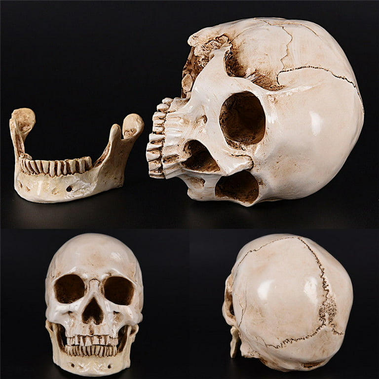 Skull 42