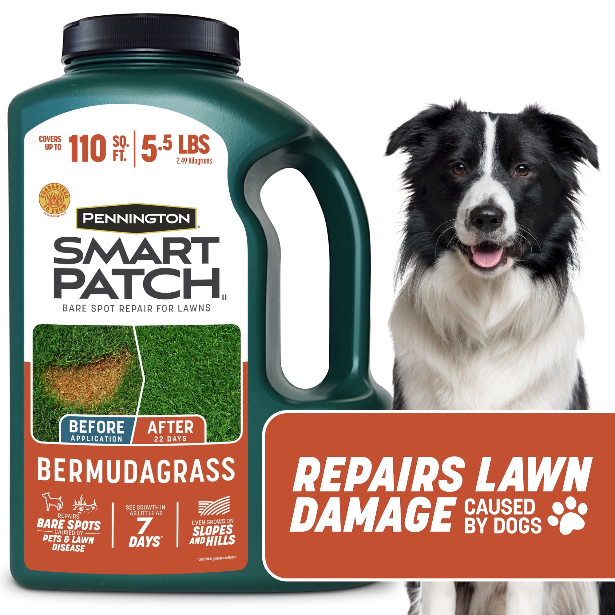 Pennington Smart Patch Bermuda Grass Seed Mix, Bermuda Grass Seeds for Lawn, for Full Sun Grasses, 5.5 lb.