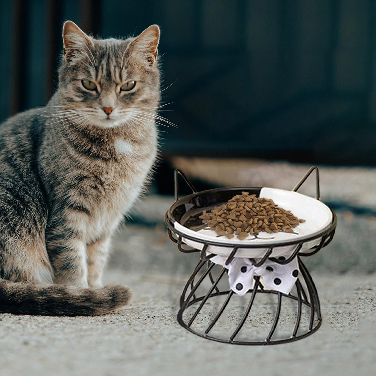 Cat Dog Bowl Snack Canned Dish with Metal Raised Stand Drinking Eating Feeding Bowl Nordic Cat Bowl Ceramic