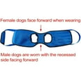 thumbnail image 3 of UOSIA Dog Lift Harness Pet Support and Rehabilitation Sling Dog Rear Leg Support Lifting Brace,Orange,XXL, 3 of 6