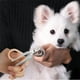 thumbnail image 1 of pstuiky Cortaúñas de metal suministros para mascotas cortaúñas de cola de pez cortaúñas para perros y gatos herramientas de manicura para mascotas cortaúñas, 1 of 6