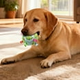 thumbnail image 4 of TIELUTT Squeaky with Rattle 5.9 Inch Soft Interactive High Elastic Football Dog for Medium Dogs Dog and Bundle for Christmas Indestructible Dog Guaranteed Small Squeaky Dog Christmas Cat Pacifier, 4 of 4
