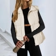 thumbnail image 2 of Daznico Veste Sans Manches pour Femmes, Col Montant, Réversible, Fermeture Éclair, avec Poches, Taille m, 2 of 5