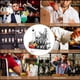thumbnail image 4 of Juego De Coctelera Shaker Bartender Mixologia Kit 24 Piezas Accesorios De Acero Inoxidable Boston 1 Litro Con Soporte De Acrílico Incluye Recetario Para Cocteles Mezclador De Bebidas Profesional Bar ecomlab Profesional, 4 of 8