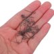 thumbnail image 5 of OHOIOLLA 20Ud Resorte De Para Teclas De Grabadora Compatible Con Diversos, 5 of 8