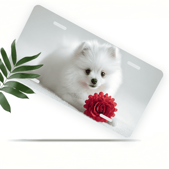 1 Pcs 2D Flat License Plate Covers & Frames, White Pomeranian For Decorative Front, Waterproof For Decoration Aluminum License Plate Covers & Frames Cover For Men Women, 12" X 6"