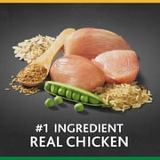 Pure Balance Pro+ Large Breed Chicken and Brown Rice Recipe Dry Dog Food, 30 lb
