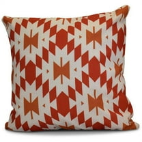 Simply Daisy 16" x 16" Patna Geometric Print Outdoor Pillow