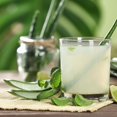 thumbnail image 6 of Aloe Vera Plant, Aloe Vera Small Live Plant, Succulent Houseplants 4 Inches Pot for Growing, 6 of 6