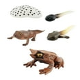 thumbnail image 2 of Figuritas de ciclo Montessori Perfecl Animales Ranas Cognitivas Estilo D, 2 of 8