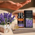thumbnail image 2 of 20 Flavors Natural Essential Oils for Aroma Diffusers & Humidifiers, 10ml Water-Soluble Aromatherapy Fragrance Set for Home & Office Relaxation, 2 of 8