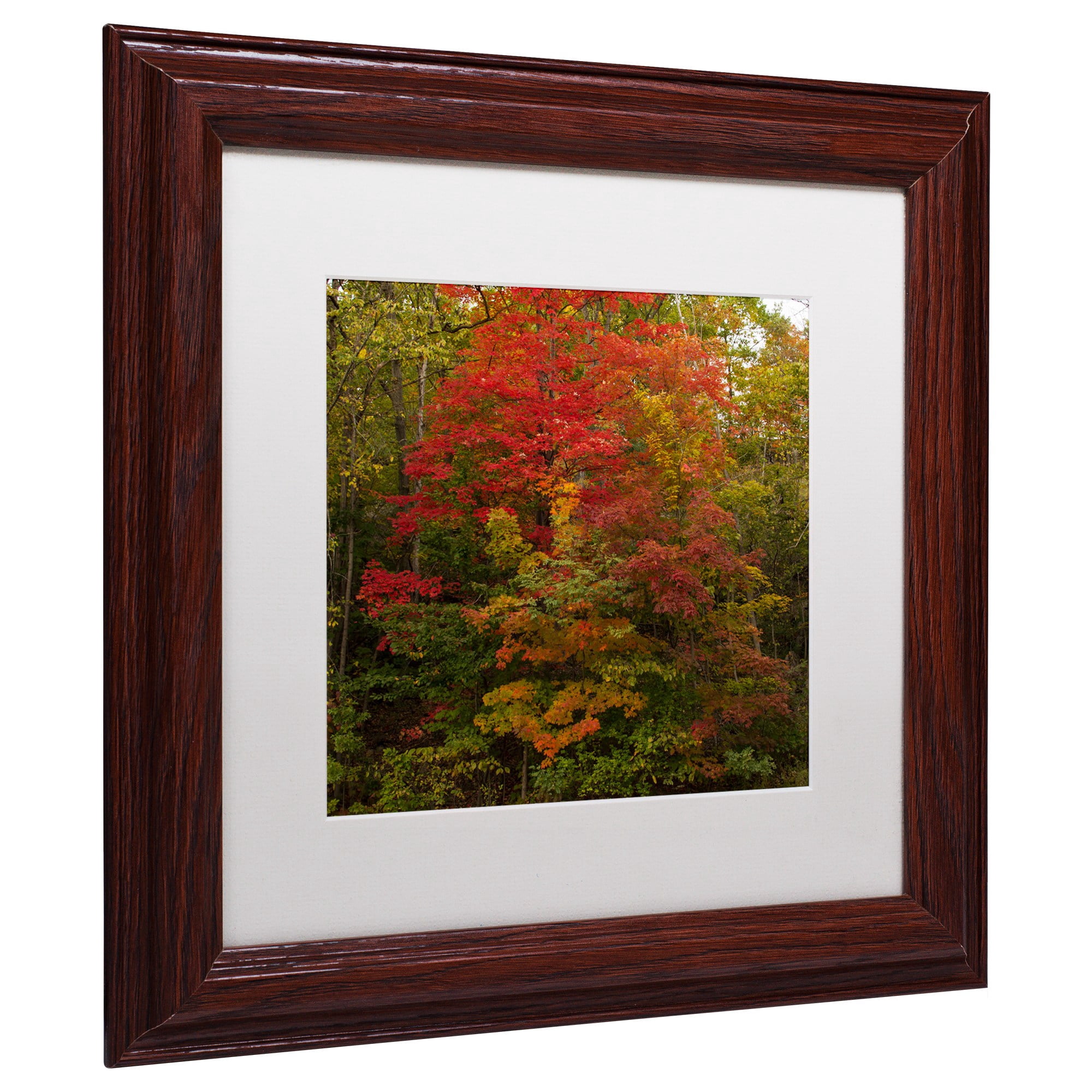 Trademark Fine Art "Why I Love Autumn 2" Canvas Art by Kurt Shaffer, White Matte, Wood Frame