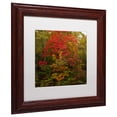 thumbnail image 3 of Trademark Fine Art "Why I Love Autumn 2" Canvas Art by Kurt Shaffer, White Matte, Wood Frame, 3 of 5