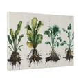thumbnail image 2 of 12x16 inch Garden Wall Decor Retro Plant Illustration Canvas Pictures,Home Room Canvas Decor Garden Accessory,Indoor Study,Bedroom,Living Room Wall Decor Oil Painting Canvas,Plant Lover Gift, 2 of 6