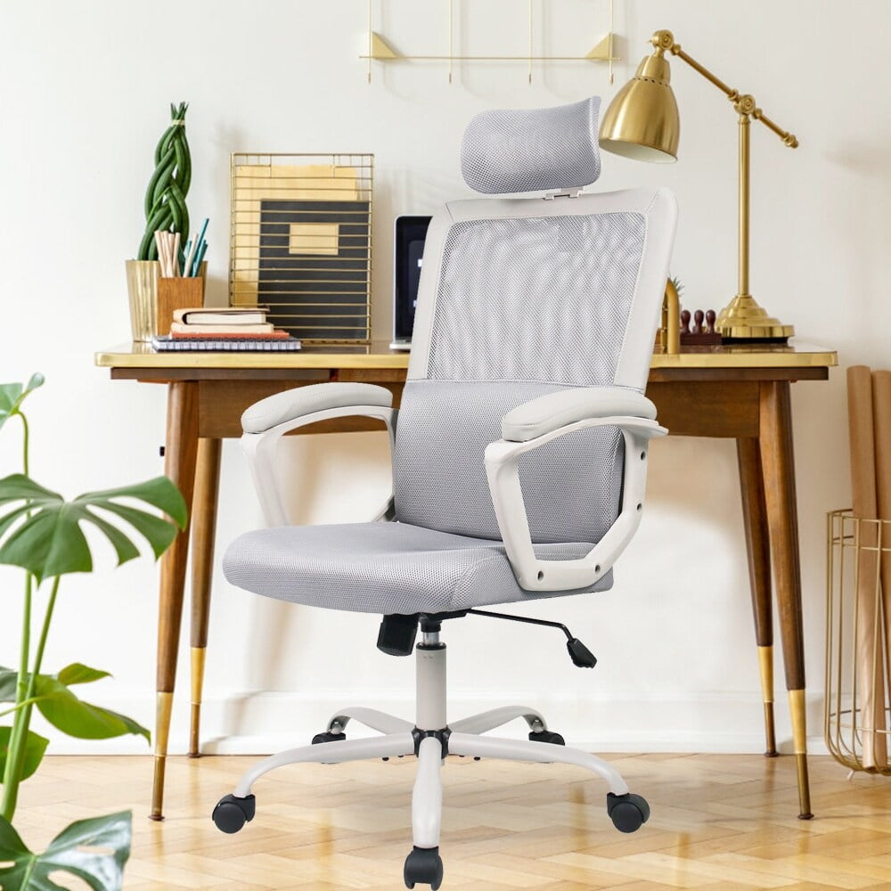 Ergonomic Mesh Executive Chair Home Office Chair with Lumbar Support