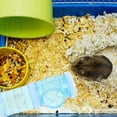 thumbnail image 5 of MRLESS Hamster Tube Set - Transparent External Pipe for DIY Hamster Toys, 5 of 7