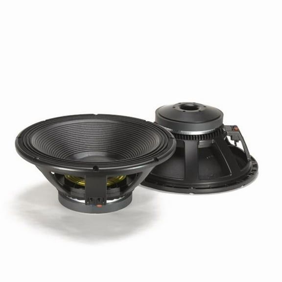 18 in. Woofer Raw Speaker 2000 W