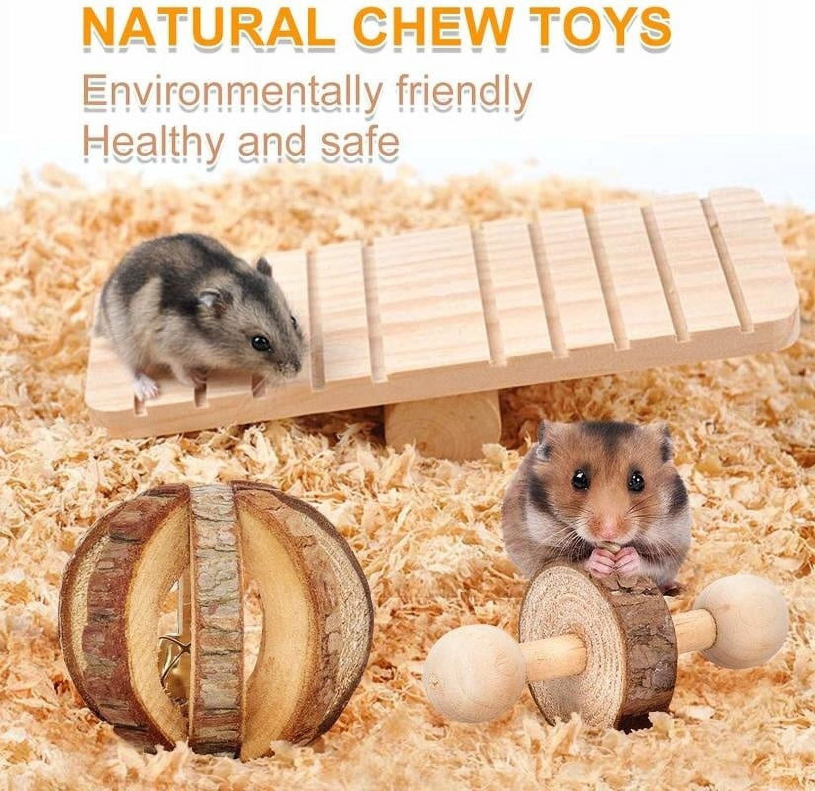 ODOMY 10 Pcs/set Hamster Toy Set Wooden Dumbbells Teeth Care Molar Toy Natural Wooden Exercise Bell Roller Toy