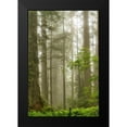 thumbnail image 2 of Poinski, Dianne 17x24 Black Modern Framed Museum Art Print Titled - North Coast Redwoods, 2 of 5