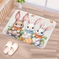 thumbnail image 5 of Easter Polyester Non-Slip Outdoor Carpet Door Mat - Machine Washable Door Rugs, 5 of 6