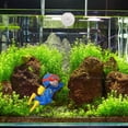 thumbnail image 4 of Xioeram Floating Fish Tank Decorations| Cute Little Diver, Surfer boy, Whale-Riding Girl for Aquarium Decorations、Desktop Ornaments、Car Decorating| Fish Tank Accessories Decorations, 4 of 8