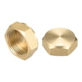 thumbnail image 1 of Tapón de conector de extremo hexagonal de latón hembra M25x1.5 2pcs, 1 of 5