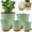Green, variant on Fabulas Self Watering Planters, 5/5.5/6/6.5/7 Inch Self Watering Plant Pots for Indoor and Outdoor Plants, 5 Pack