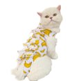 thumbnail image 1 of CSChome Combinaison de Neutralisation pour Chat - Vêtements de Récupération Imprimé Fruits après Chirurgie Sangle Réglable, 1 of 7