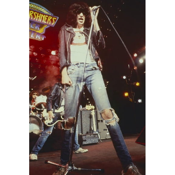 Ramones at Don Kirchner's Rock Concert 1977 Joey Ramone with band 24x36 Poster