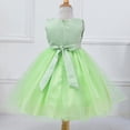 thumbnail image 4 of kids Girls Sequin Mesh Tull Dress Toddler Sleeveless Flower Party Ball Gown for Little Princess, 4 of 6