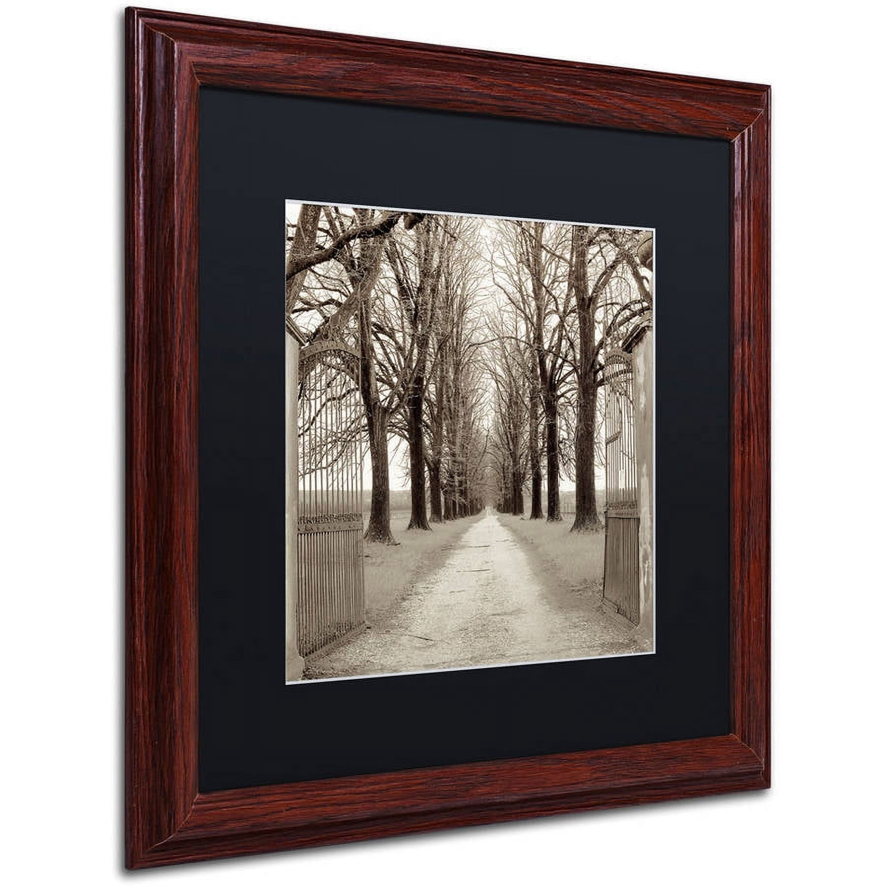 Trademark Fine Art "Veneto Giardini I" Canvas Art by Alan Blaustein, Black Matte, Wood Frame