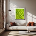 thumbnail image 2 of Rain On Hosta - Photography Nature Abstract Botanical Water Pattern Tropical Garden Black Framed Wall Art Print 9 x 12 inches, 2 of 4