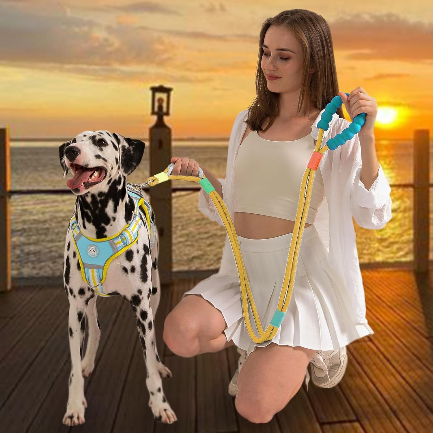 Dog Leash,5 FT Heavy Duty Dog Training Leash,Double Handle Comfortable Padded Hands Free Dog Leash,Adjustable Crossbody Waist Leash for Small Medium Large Dogs(Yellow)