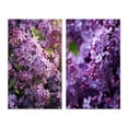 thumbnail image 2 of Designart "Fragrant Blossoms in Purple Lilacs V" Floral Wall Art Set Of 2 - Purple Floral Canvas Set For Living Room Decor, 2 of 7