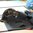 thumbnail image 4 of Couverture Jouet pour Chat, Tapis de Jeu, Cache-Cache, Tapis, Maison de Cachette pour Chat Résistante aux Rayures avec Trous; Couverture Jouet pour Chat, Tapis de Jeu, Tapis, Maison de Cachette pour Chat Résistante aux Rayures, 4 of 6