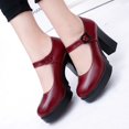 thumbnail image 2 of Pmwrun Zapatos de mujer con tacones, zapatos de plataforma para mujer, zapatos de primavera y verano con hebilla y punta redonda, 2 of 4